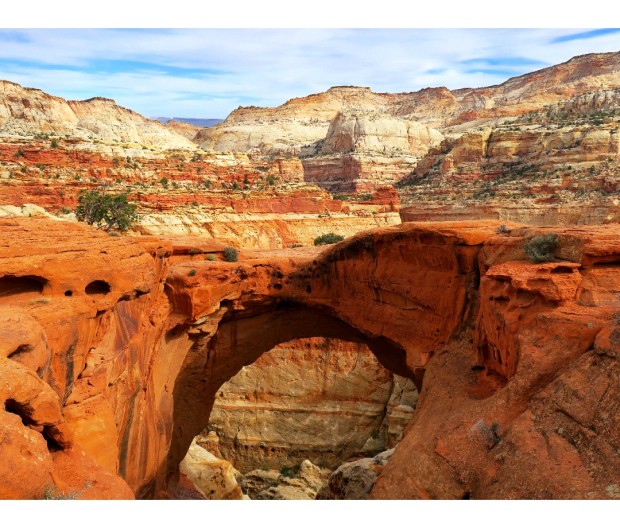 Complete Guide To Utah's Capitol Reef National Park | Oliveflo