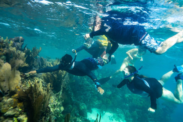 Snorkeling in Belize on a guided tour