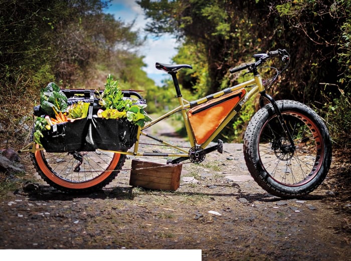 surly big fat dummy cargo bike