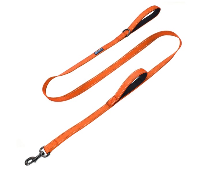 12 Best Dog Leashes of 2022 | Men's Journal - Men's Journal