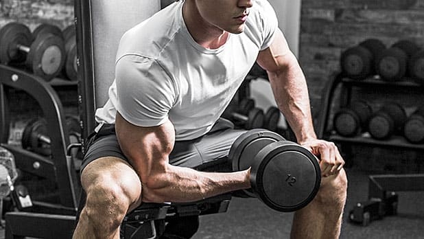 How to Get Bigger Arms - A More Complete Guide to Biceps and Triceps ...