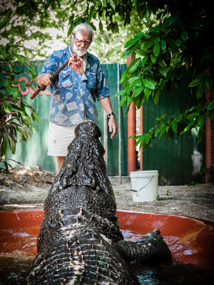 Largest crocodile in captivity shown in photos Men's Journal