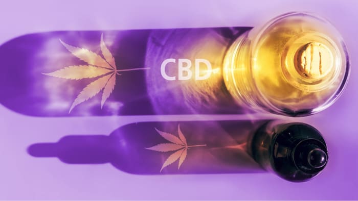 Best CBD Oils In 2022 | Men's Journal - Men's Journal