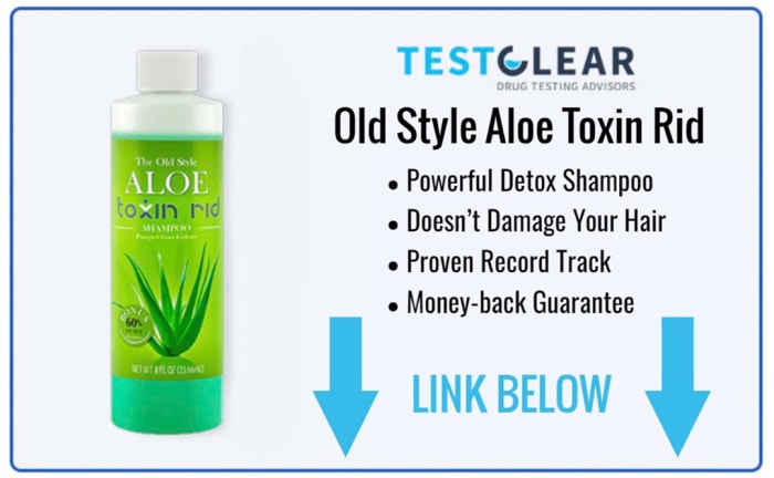 How to Pass a Hair Follicle Drug Test With The Best Detox Shampoos ...