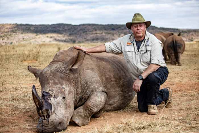 Scientists Injecting Rhinos With Radioactive Material to Stop Poaching ...