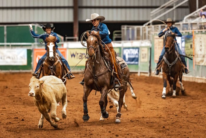 Art of the Cowgirl: A Celebration of Women in the Western World - Men's ...