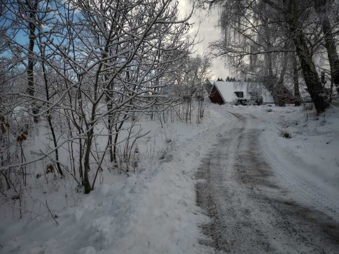 How to Choose a Snow Blower For a Gravel Driveway - Men's Journal ...