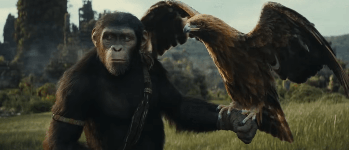 kingdom planet of the apes streaming service