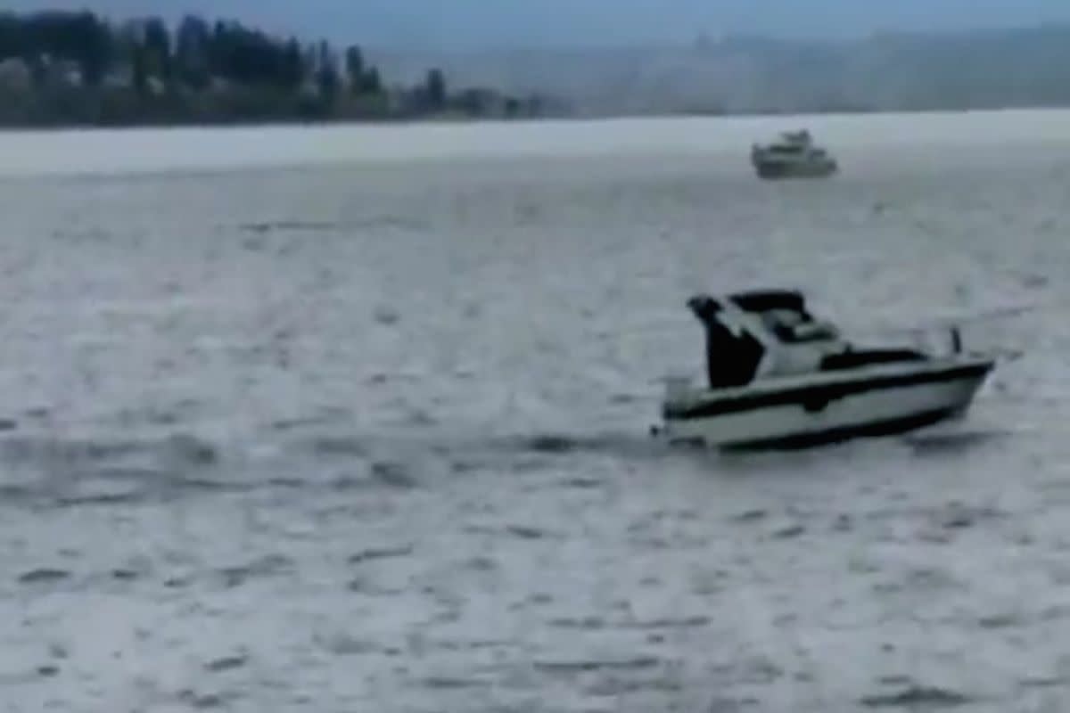 Whale watchers aghast when boat hits whale and gets lifted out of water ...