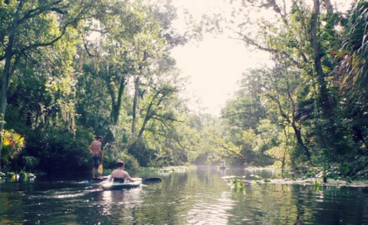 Wekiwa Springs State Park has refreshing water, lots to do