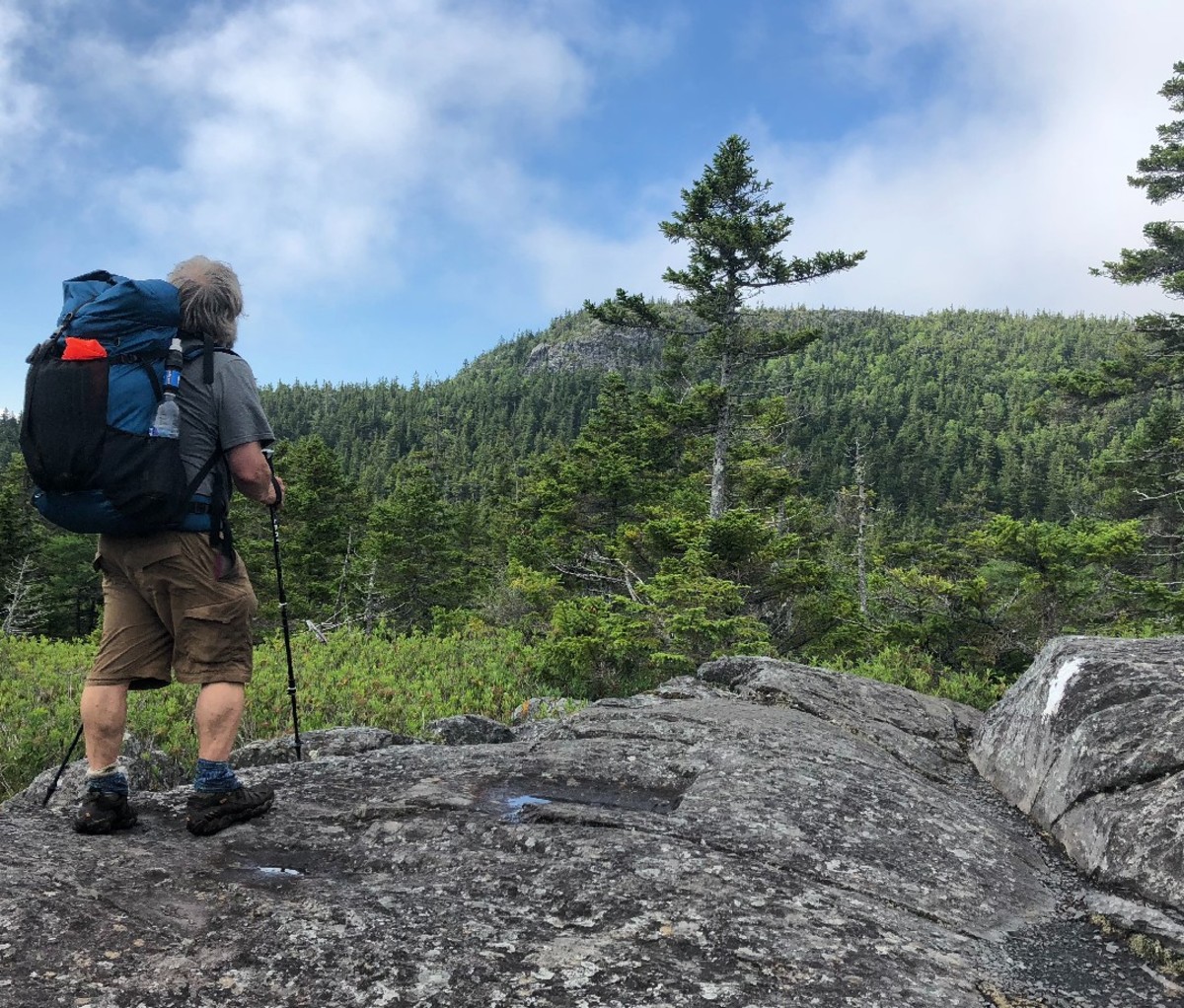 5 Must-Do Summer Mountain Hikes in the Southern Appalachians