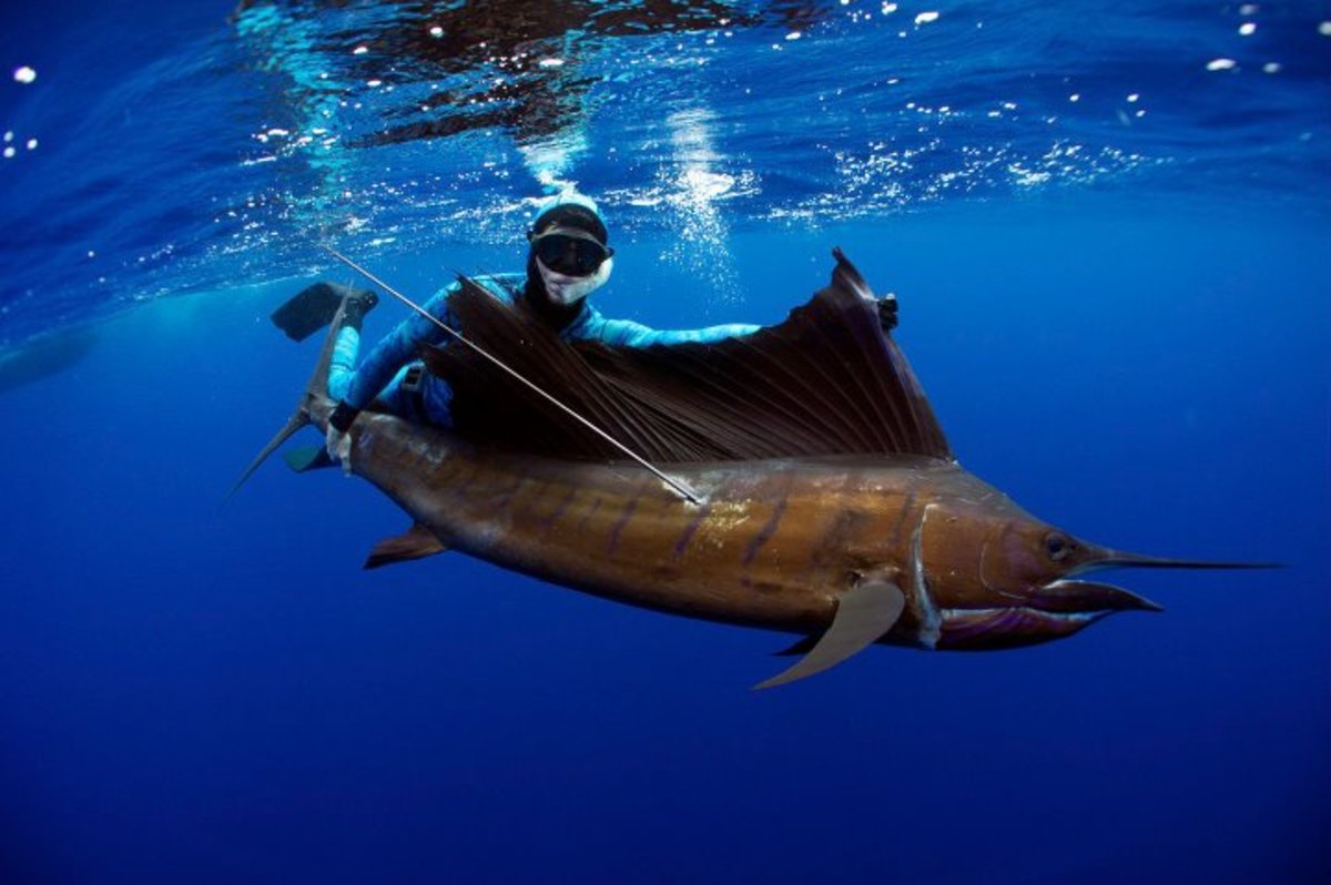Underwater Hunting: Spearfishing the Right Way - American Outdoor