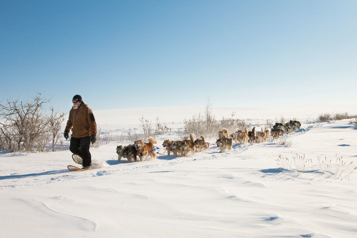 Meet the Man Saving Alaskan Malamutes | Men's Journal - Men's Journal