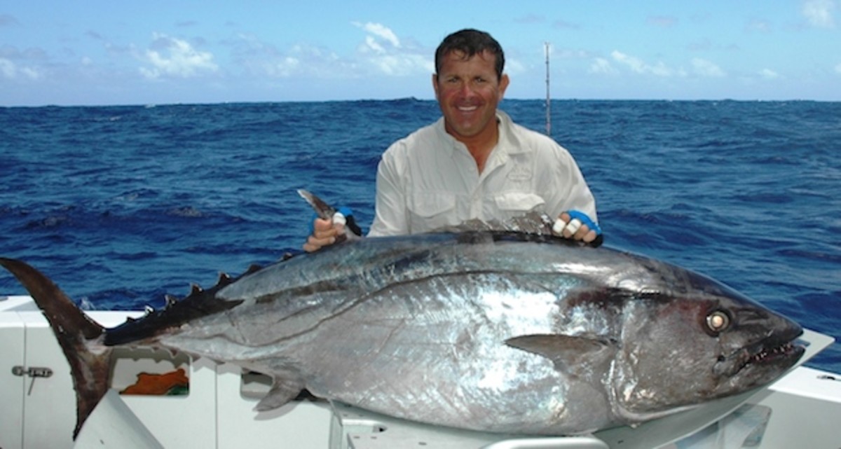 Tuna – Tackle World