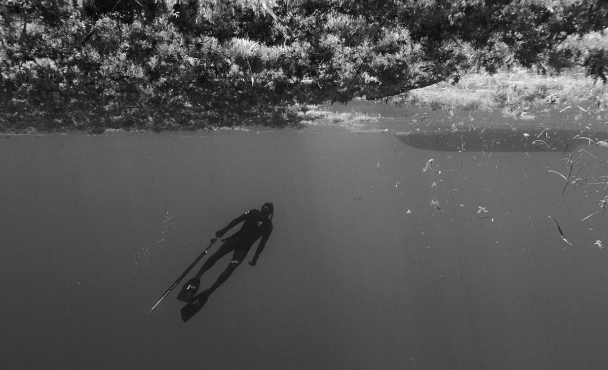 Expert Tips on Safe Freediving and Ocean Training - Men's Journal