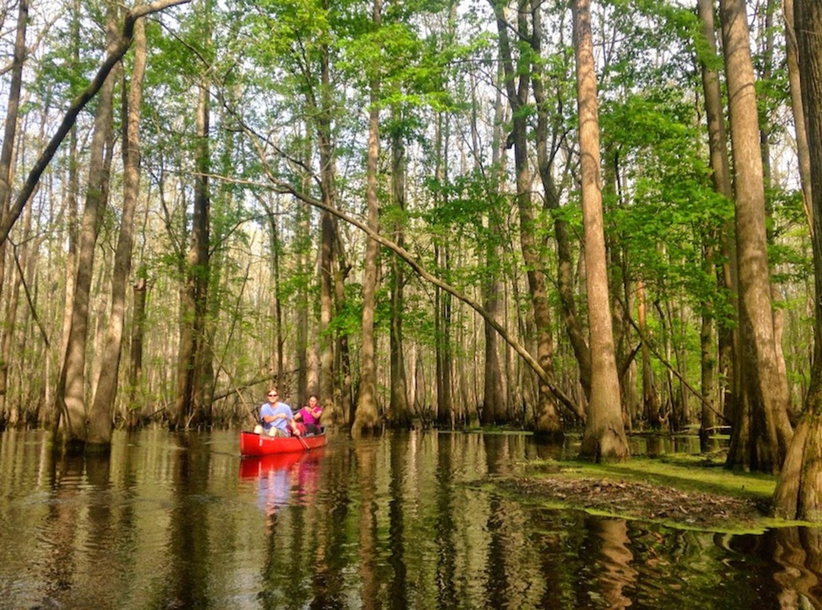 North Carolina's 3 Best Parks for Canoeing and Kayaking - Men's Journal