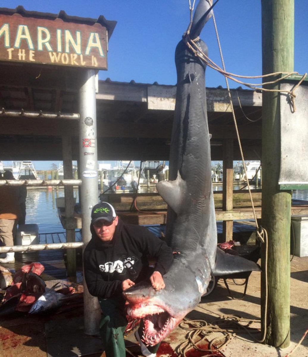 Huge mako shark is fourth-largest caught in Louisiana waters - Men's ...