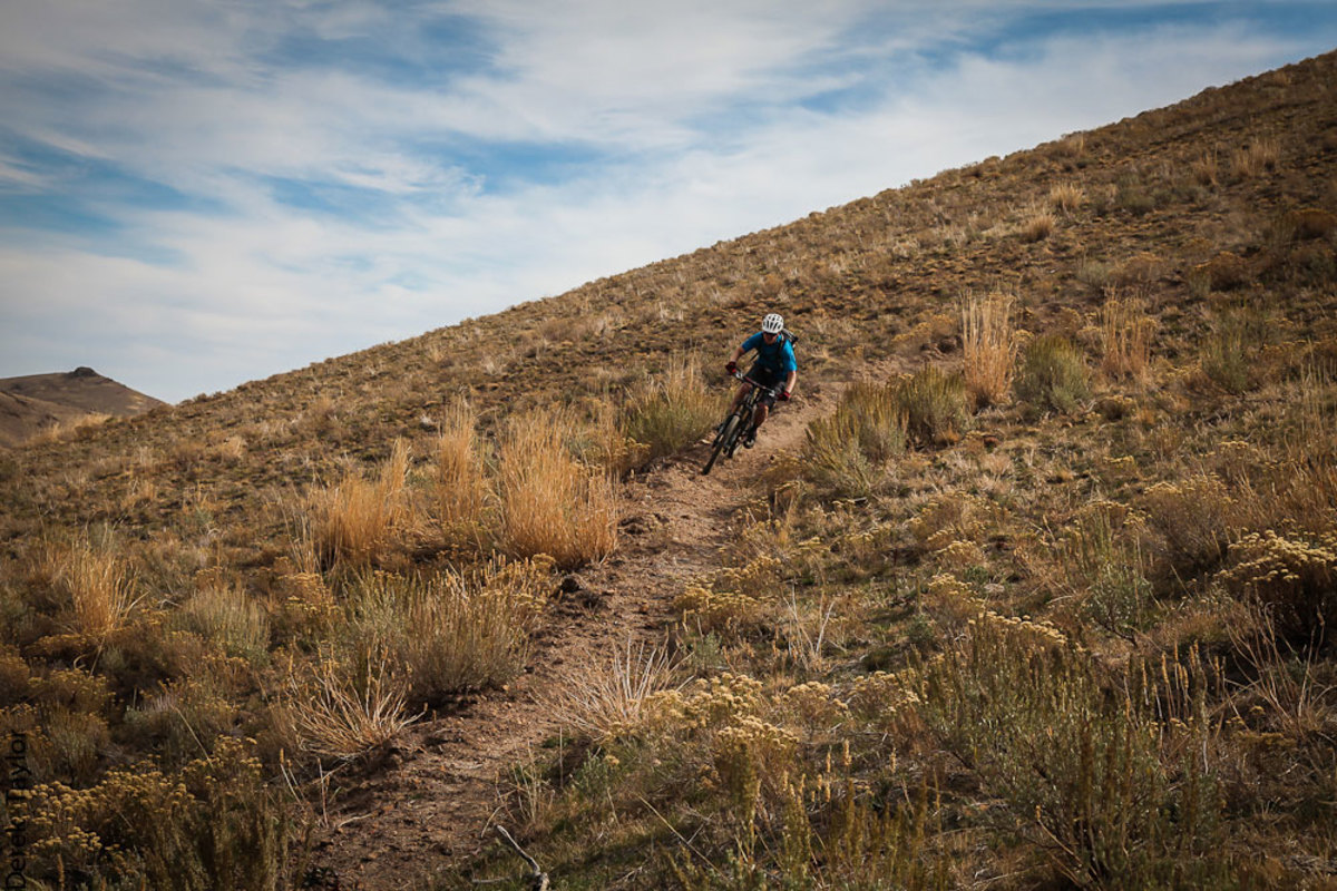 fossil hill elko nv