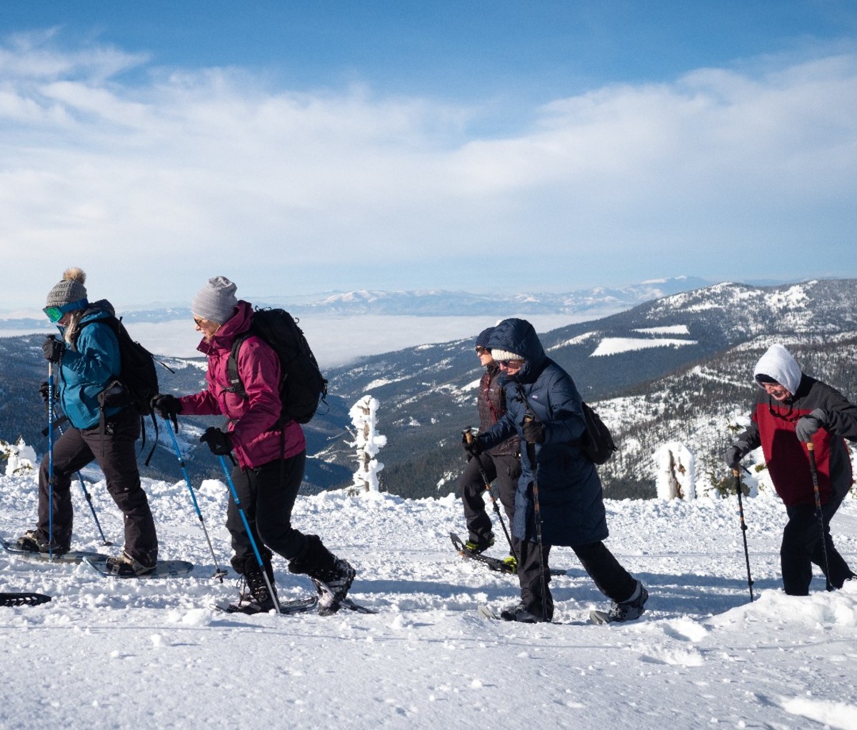 Top Winter Hiking Trails in the Canadian Rockies • Snowshoe Mag