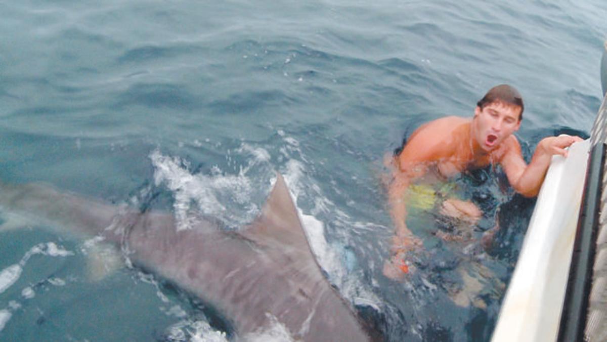Harrowing near-miss attack by tiger shark teaches twins a lesson