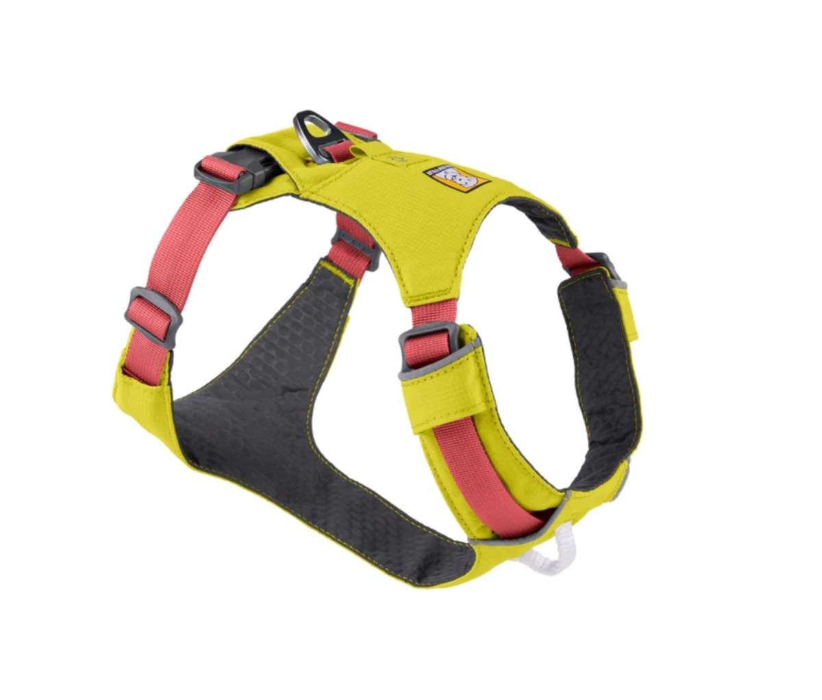 11 Best Dog Harnesses for Outdoor Adventures Men s Journal