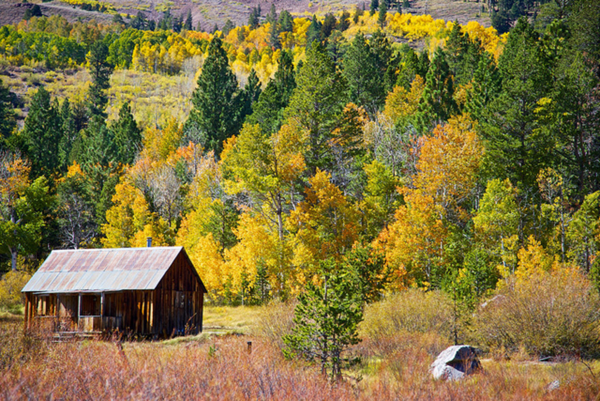 5 Reasons Why Fall is the Best Time to Visit Lake Tahoe - Men's Journal