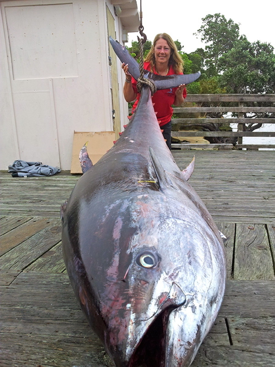 Enormous tuna could shatter world record - Men's Journal