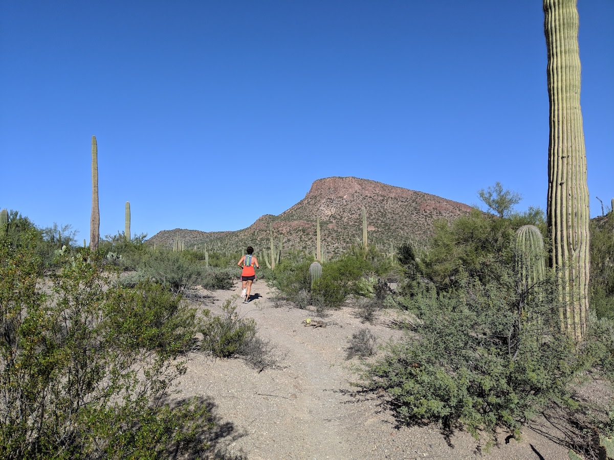 Run trail Rosa. Saguaro . Gotardo