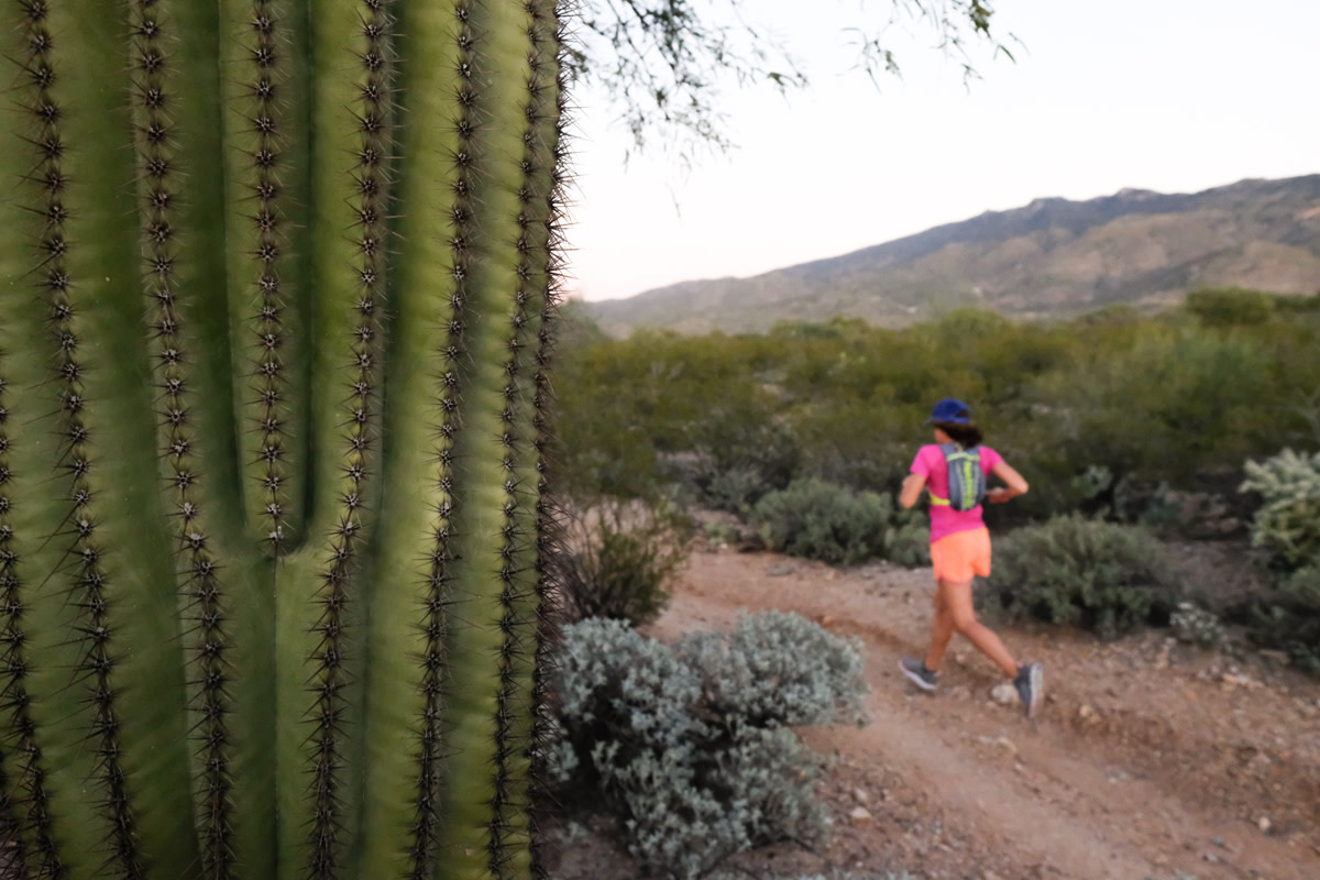 Run trail Rosa. Saguaro