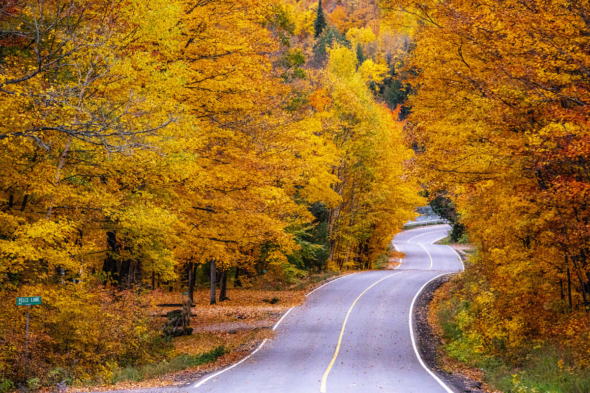 PHOTO ESSAY: A Canoe Country Ode to Fall Paddling | C&K - Men's Journal