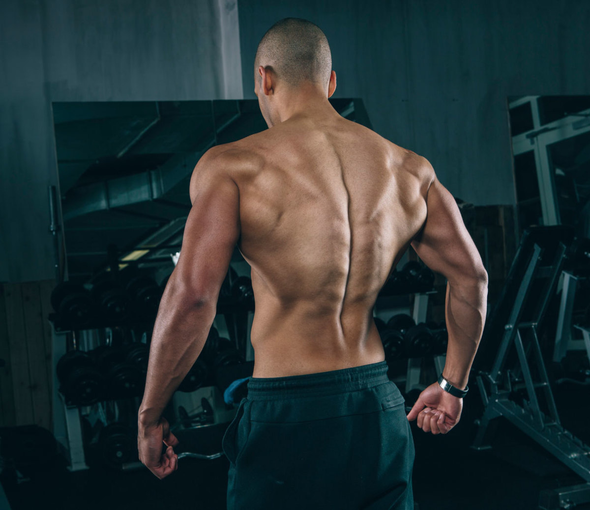 Getting a V Shaped Back Does Not Have To Be Hard - Fitness Oriented