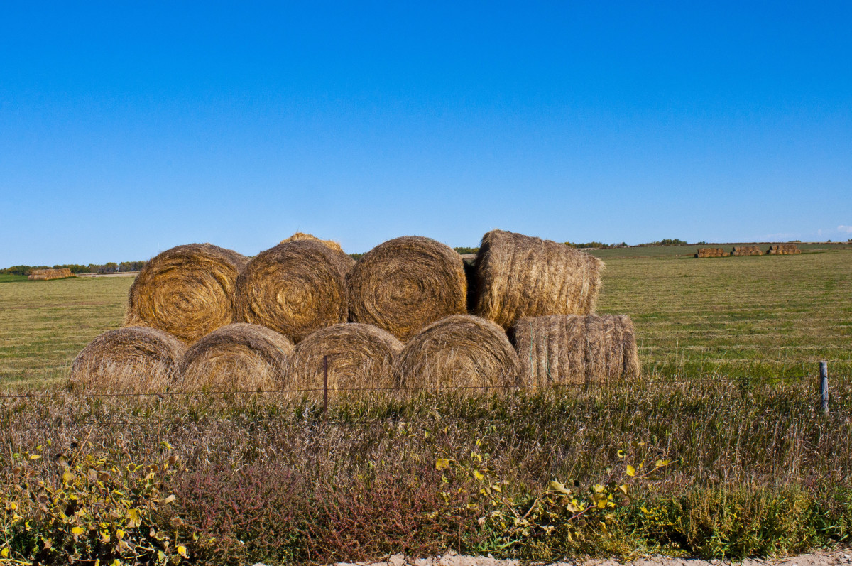 Considering the Plight of America's Family Farms - Men's Journal