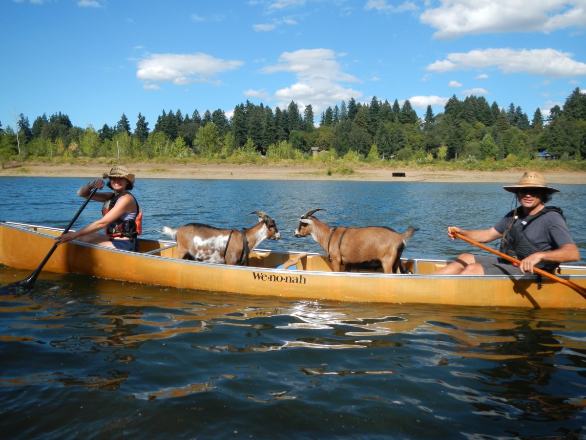 Kayaks and Livescope - Done Deal - Page 3 - Bass Boats, Canoes