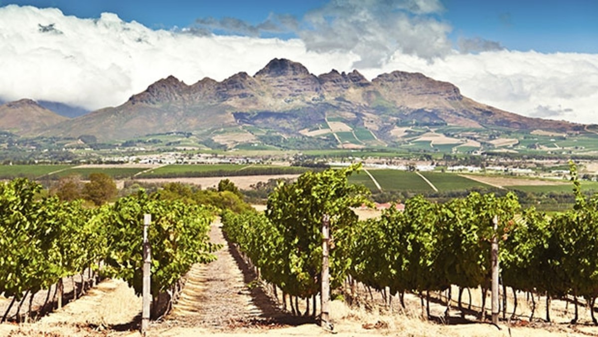 South Africa's Best Winery - Eikendal Stellenbosch - Men's Journal