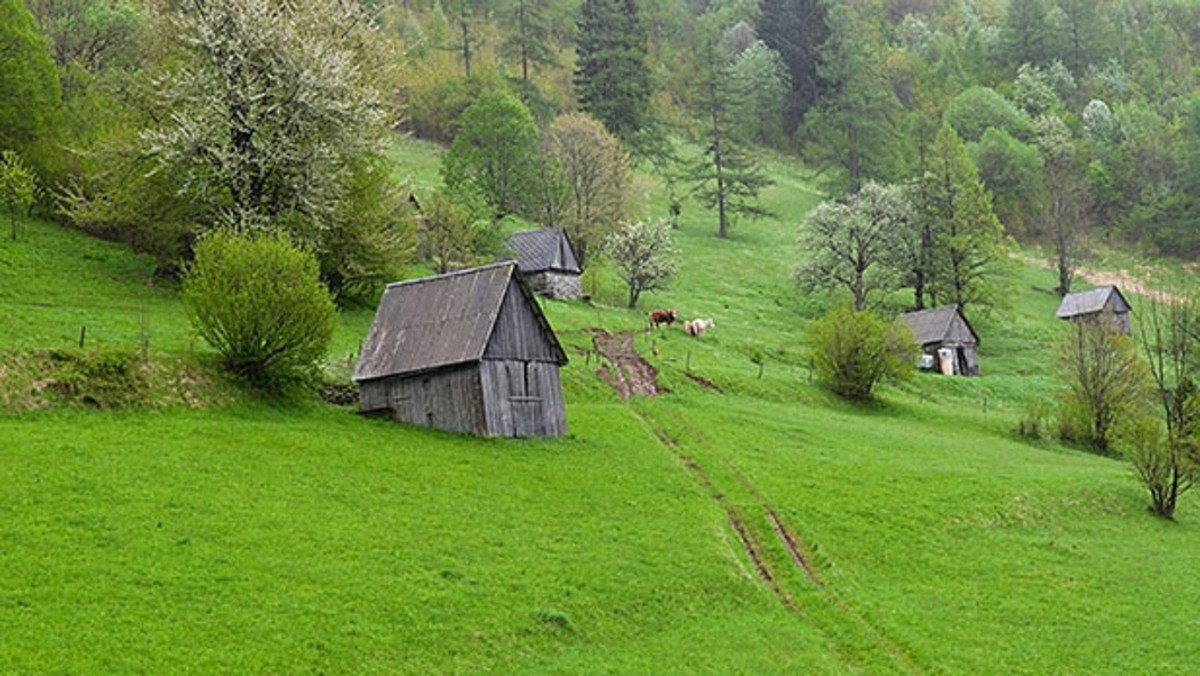 Ernest Hemingway's Slovenia - Men's Journal