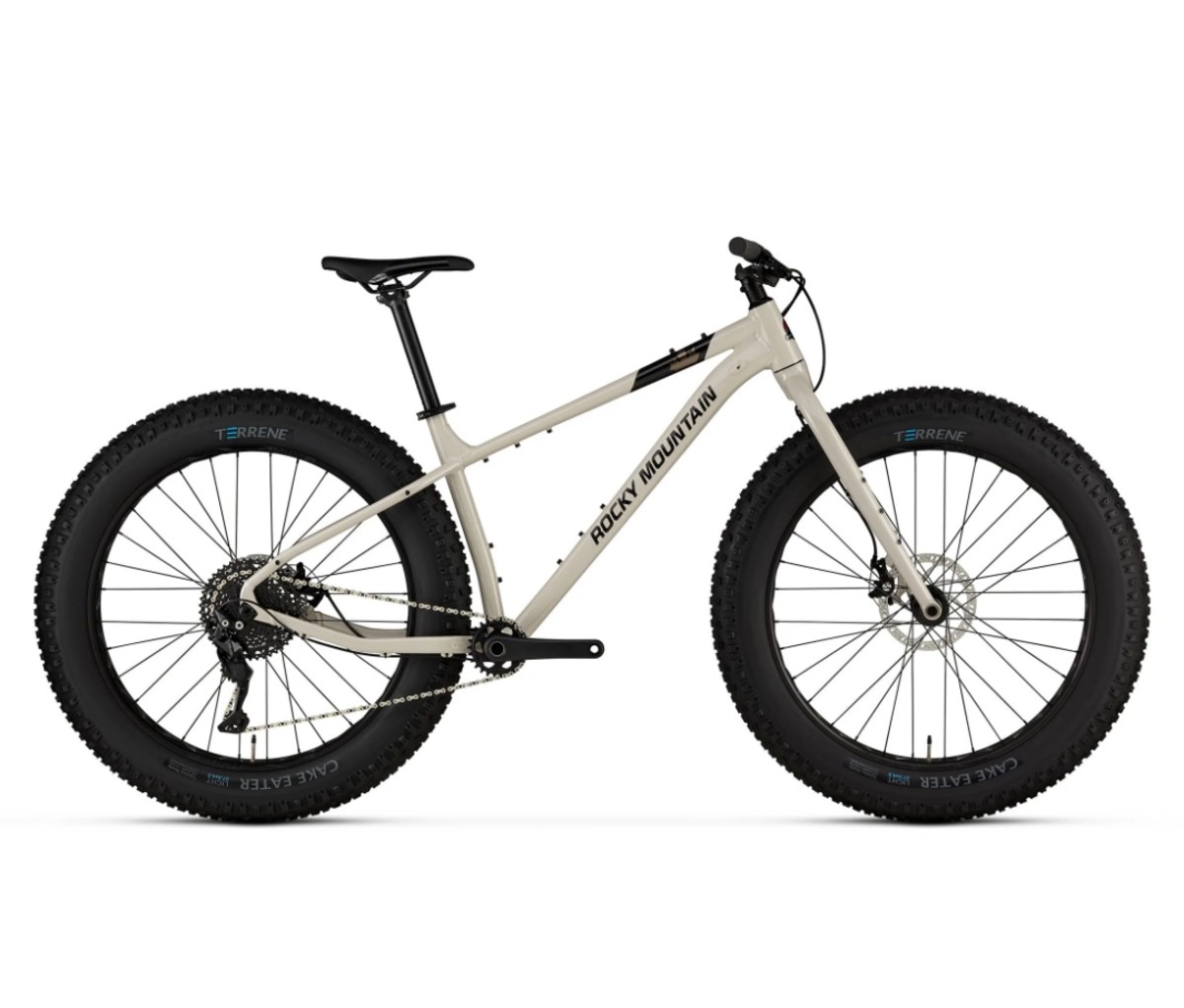 Best fat mountain store bike