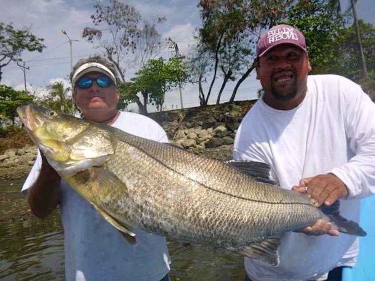 Snook Fishing Guide  How to Catch a Snook