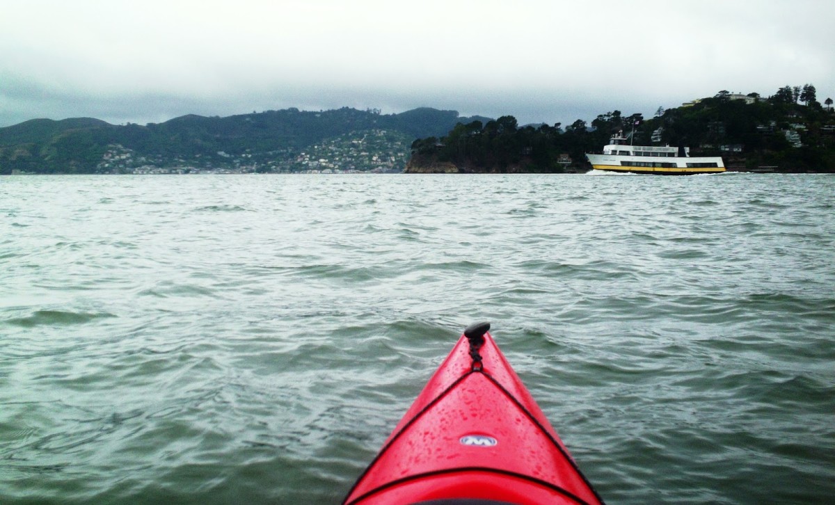 Dog Paddle  Manhattan Kayak Co