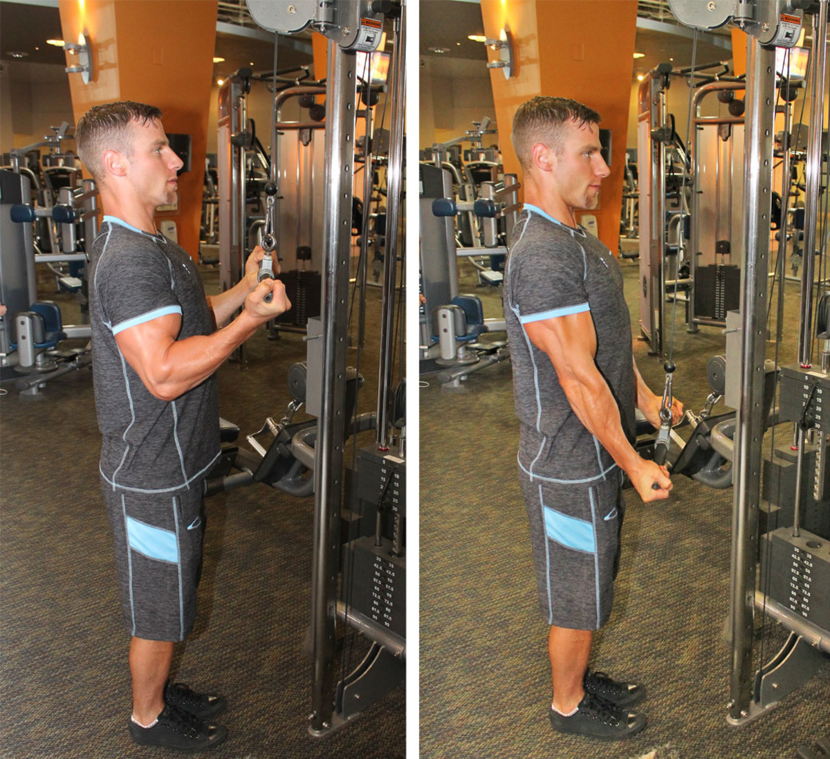 Cable Triceps Pushdown