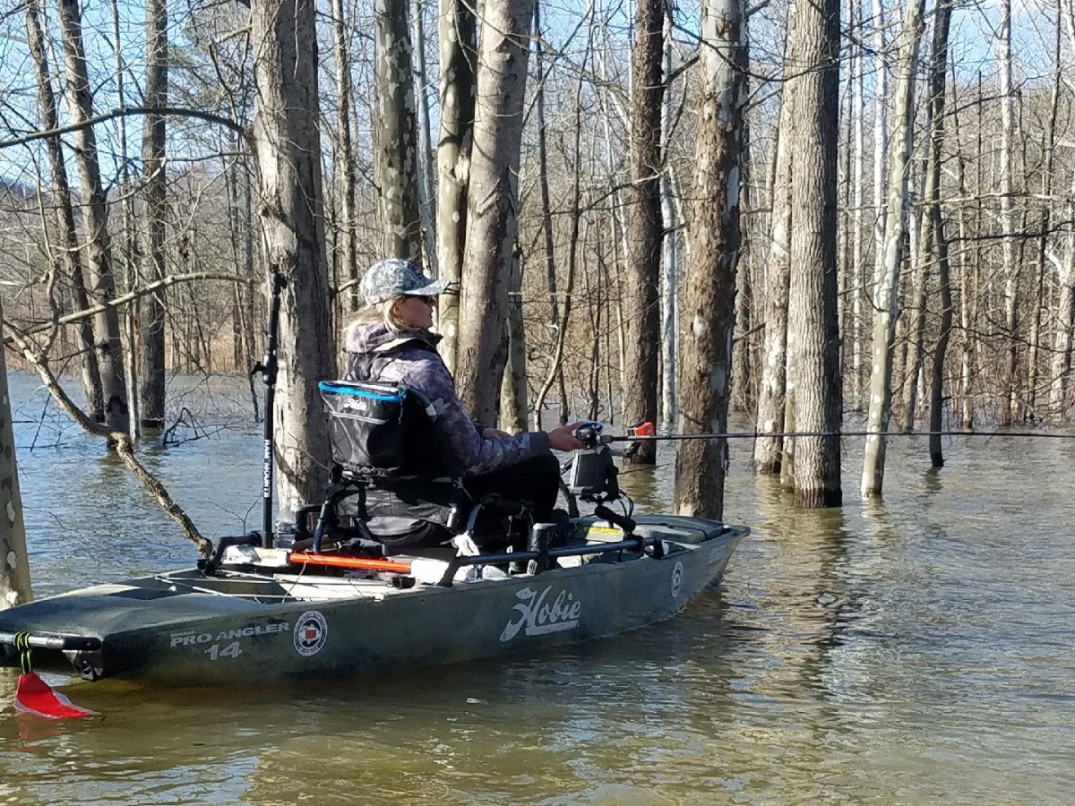 Learn this Glide Bait Theory to Catch More Bass - Wired2Fish