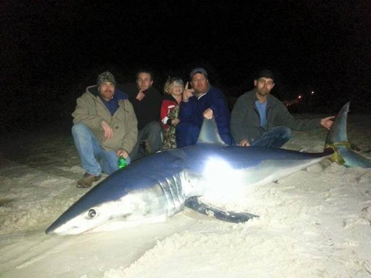 11 Foot SHARK Caught From The Beach! *Almost Pulled Me In* 