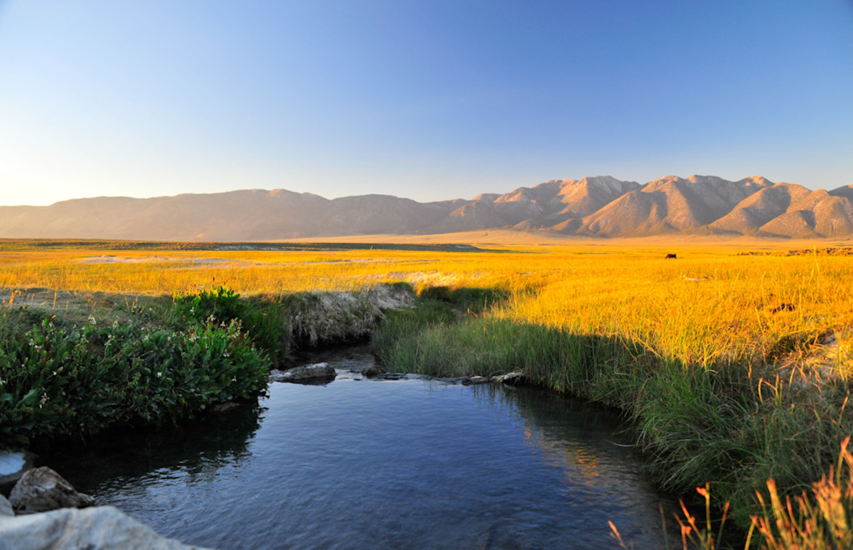 Wild california. Hot Spring feral.