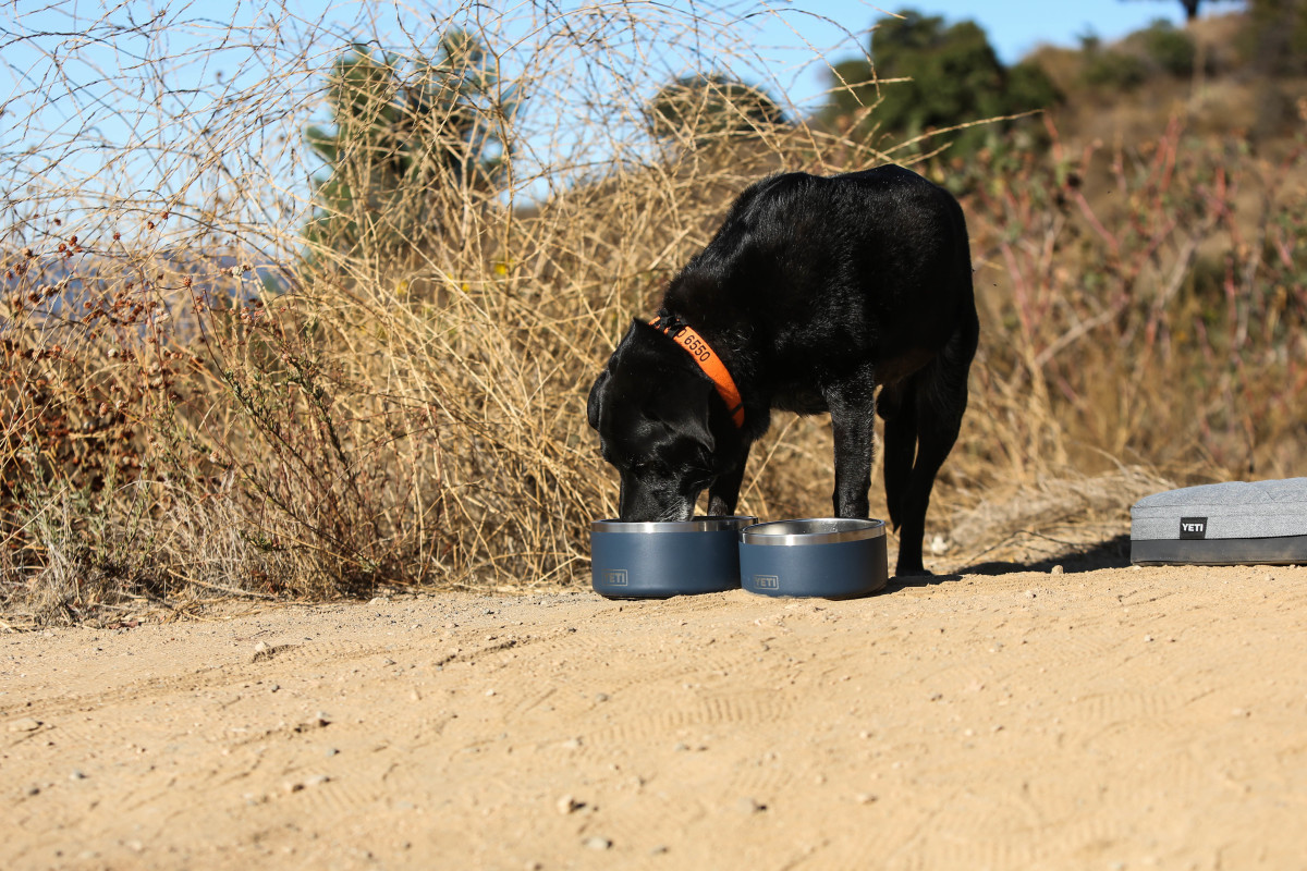 Yeti Boomer 4 Dog Bowl Set of Two