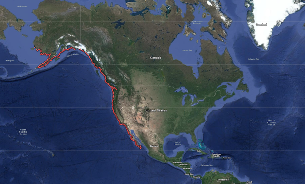 Inside Freya Hoffmeister's Expedition to Sea Kayak Around North America ...