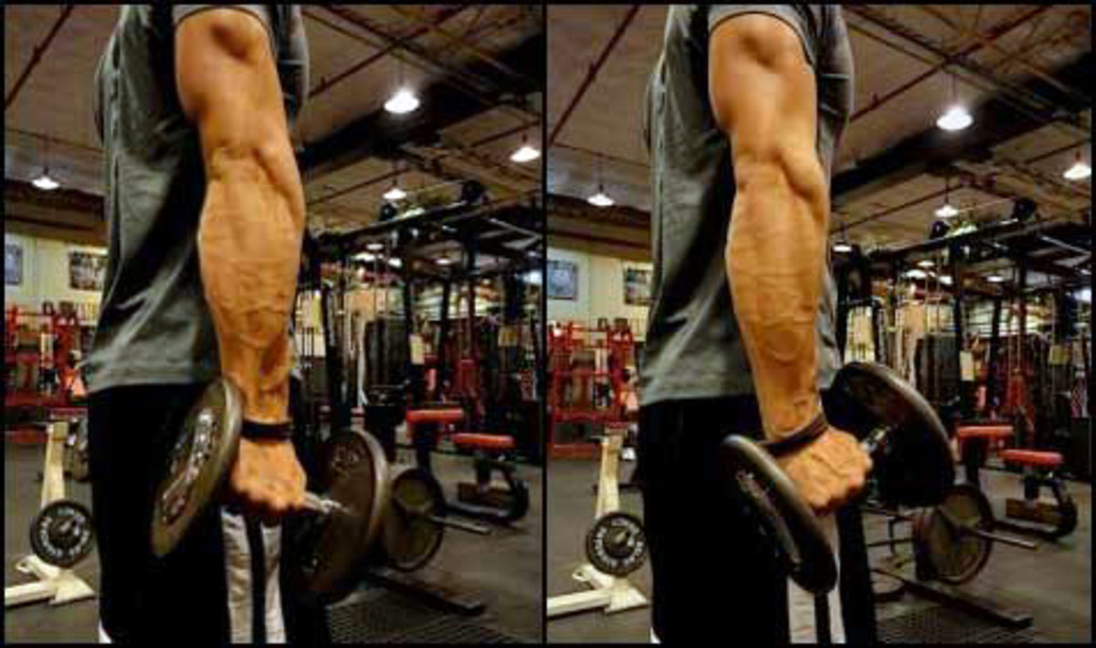 Standing forearm online curls