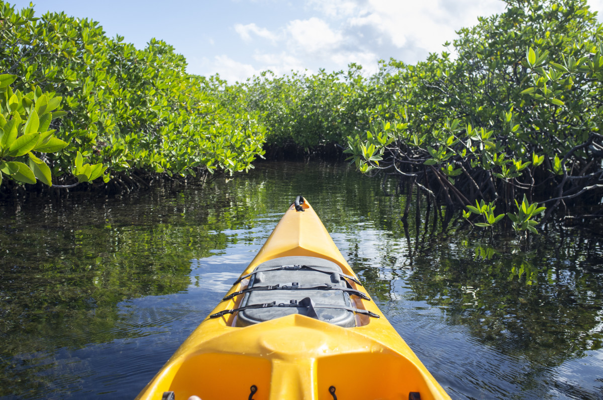 grand cayman kayak tours