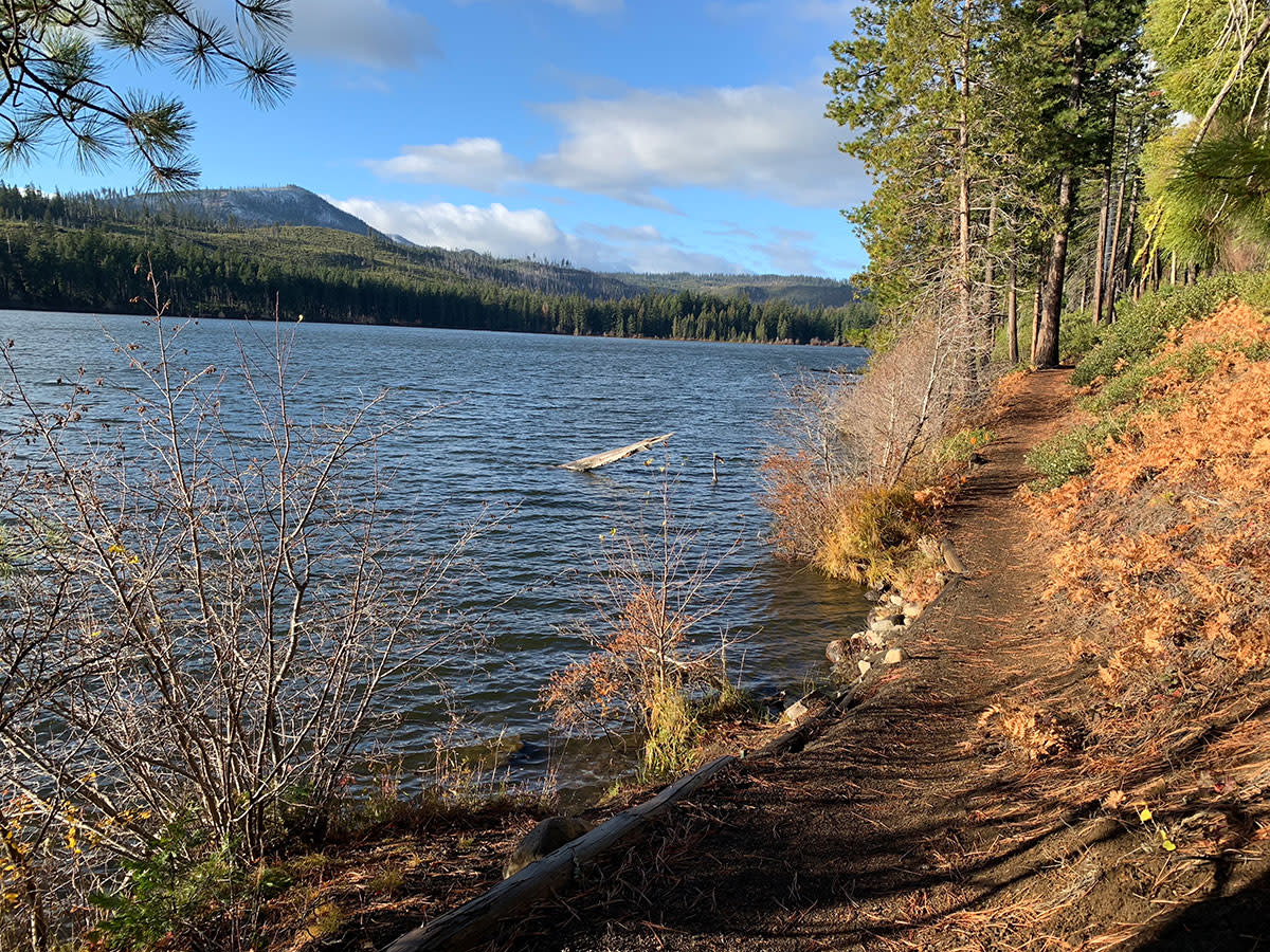 Checking In: Suttle Lake Lodge in Deschutes National Forest, Oregon ...