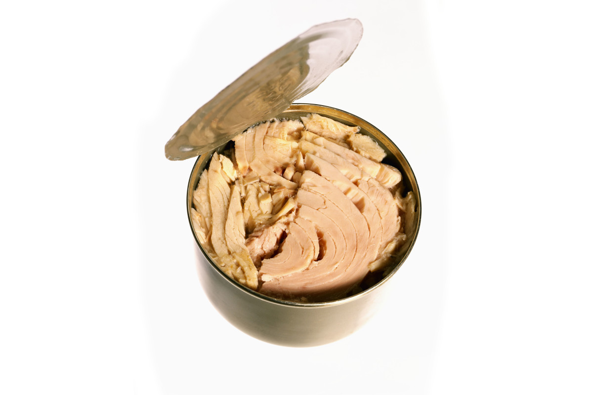 Can of tuna with open lid