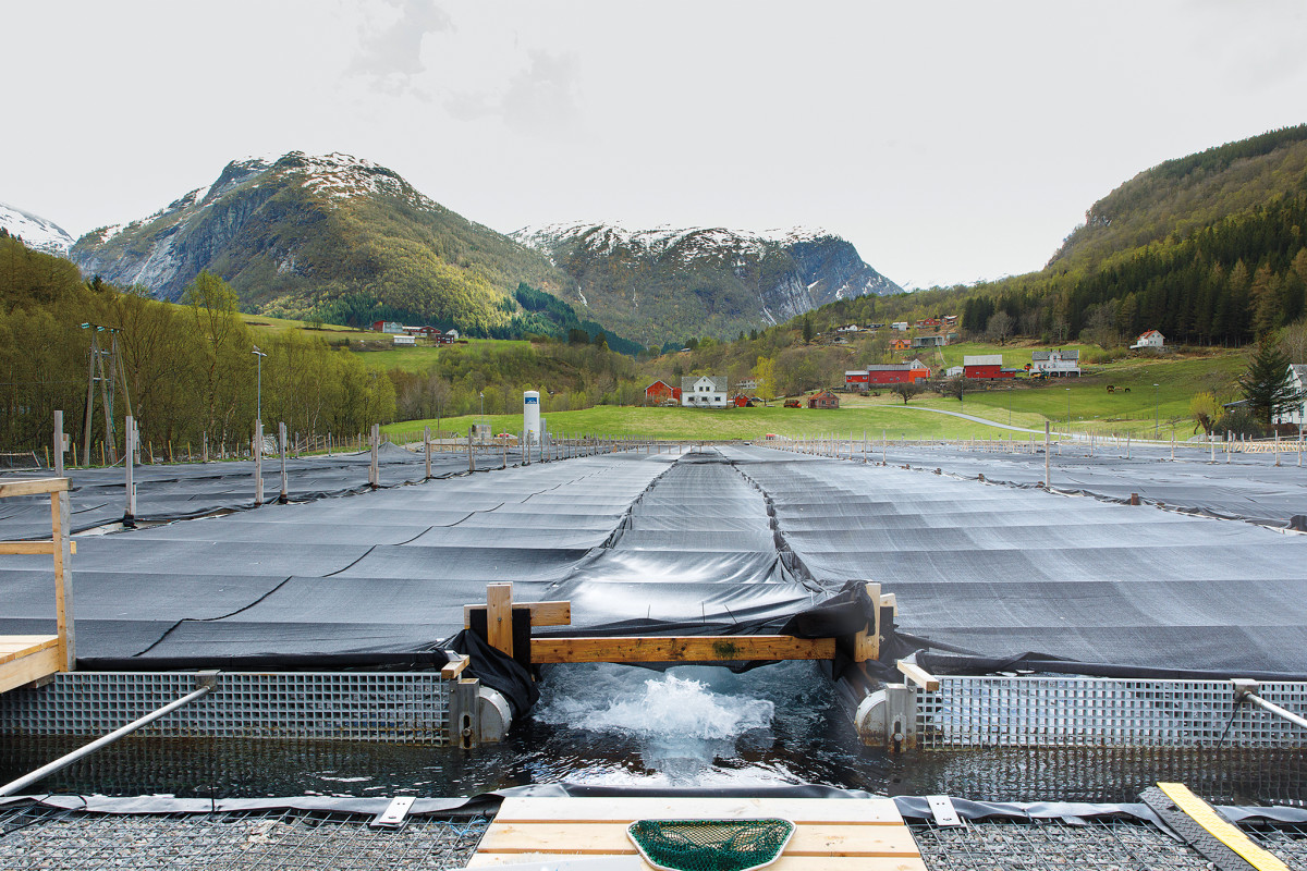 Freshwater fishing in Norway  Fresh air, clear water, and lots of happy  fish