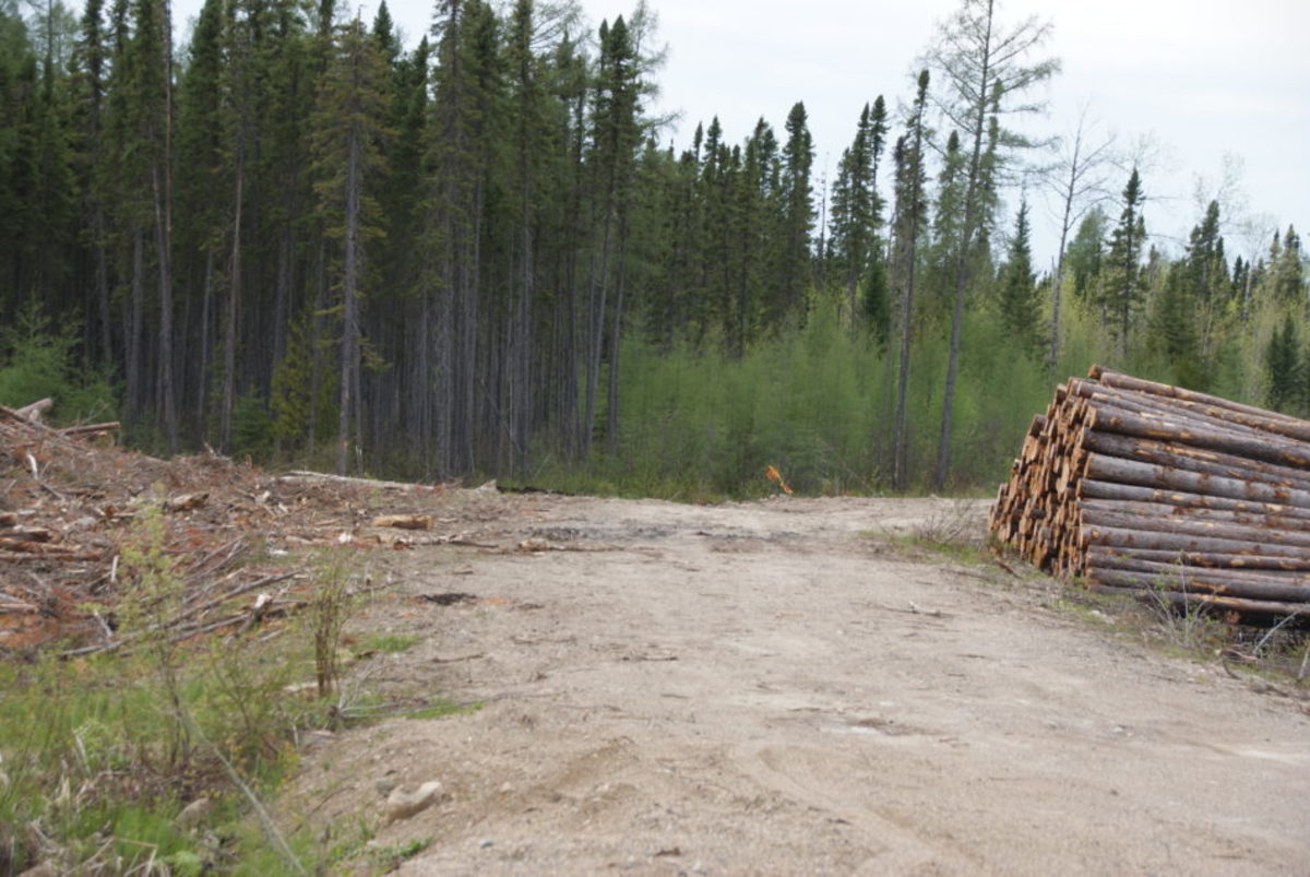 Ontario Canoeing Adventures: Crown Land Lakes and Rivers - Men's Journal